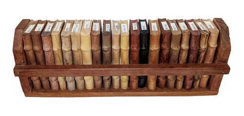 Miniatur xylothek libreria - xylothek,