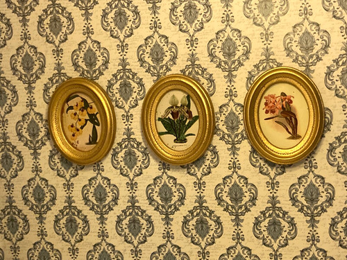 Quadri ritratto orchidea